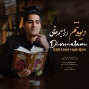 دانلود آهنگ جدید ابراهیم هاشمی دیوونتم